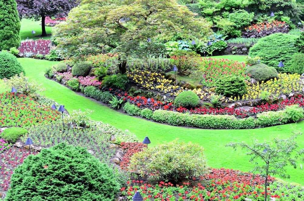 NatureForm planting design with layered greenery and garden plants